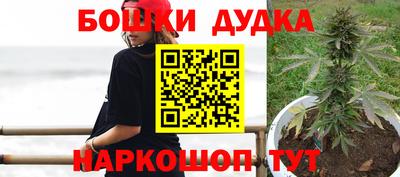 Альфа ПВП Будённовск