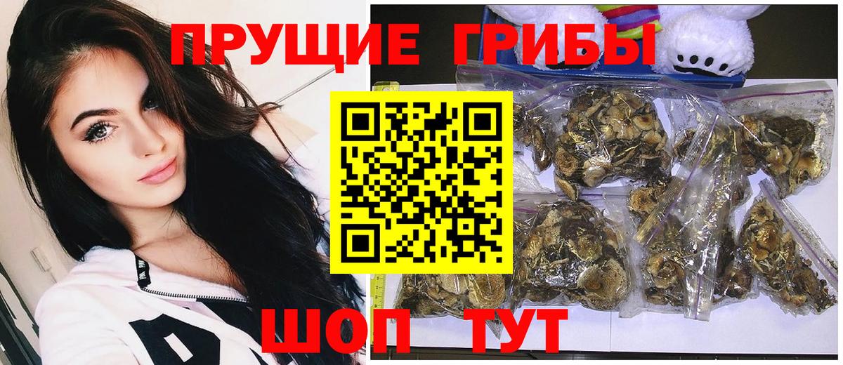 Галлюциногенные грибы Cubensis  Вход с VPN  Полысаево 
